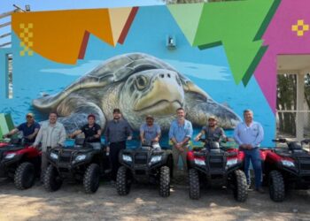 Gladys Porter Zoo y CPBT refuerzan la protección de la tortuga Lora