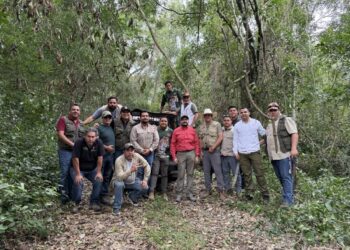 Comisión de Parques regresa a osos negros a su entorno natural