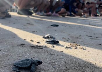 Presentan riqueza natural de Tamaulipas en serie México Biocultural