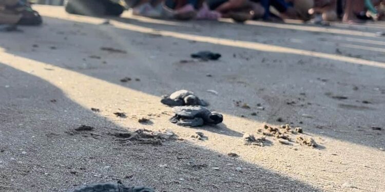 Presentan riqueza natural de Tamaulipas en serie México Biocultural