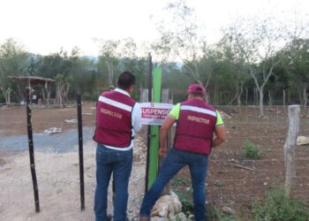 PAUT protege a familias de fraudes en venta de terrenos en Tamaulipas