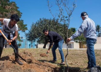 Donan árboles para fomentar cultura ecológica en escuelas de Hidalgo y Mainero