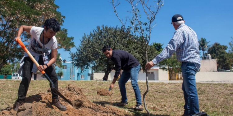 Donan árboles para fomentar cultura ecológica en escuelas de Hidalgo y Mainero