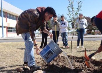 Estudiantes de la UPRR celebran el Día Mundial de la Educación Ambiental plantando árboles