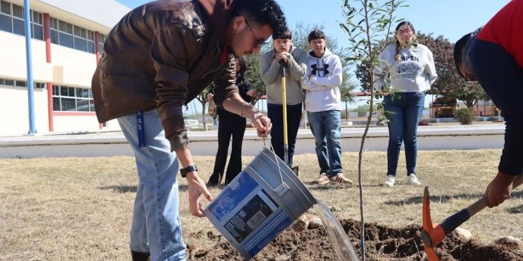 Estudiantes de la UPRR celebran el Día Mundial de la Educación Ambiental plantando árboles