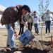 Estudiantes de la UPRR celebran el Día Mundial de la Educación Ambiental plantando árboles