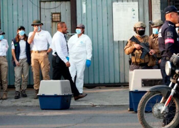 FGJ-EM rescata perros y detiene a sospechoso por maltrato animal