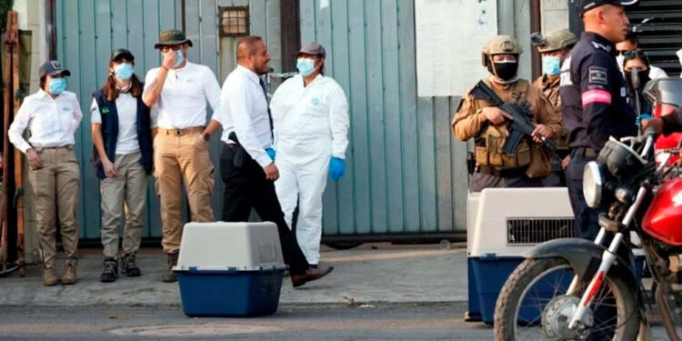 FGJ-EM rescata perros y detiene a sospechoso por maltrato animal